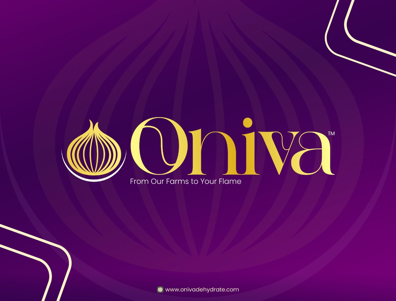 Oniva branding with website
